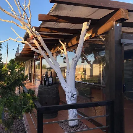 Sa Calma Villa Zaragoza